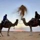 Camellos y desierto con 1001 Tours Morocco