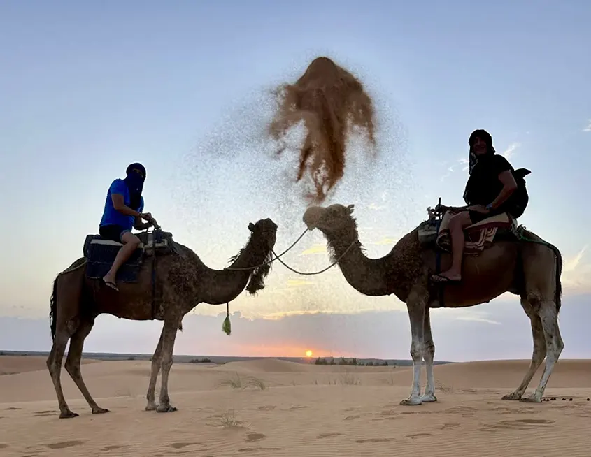 Camellos y desierto con 1001 Tours Morocco