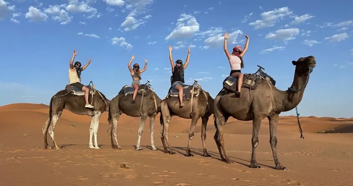 camellos desierto 1001 Tours Morocco