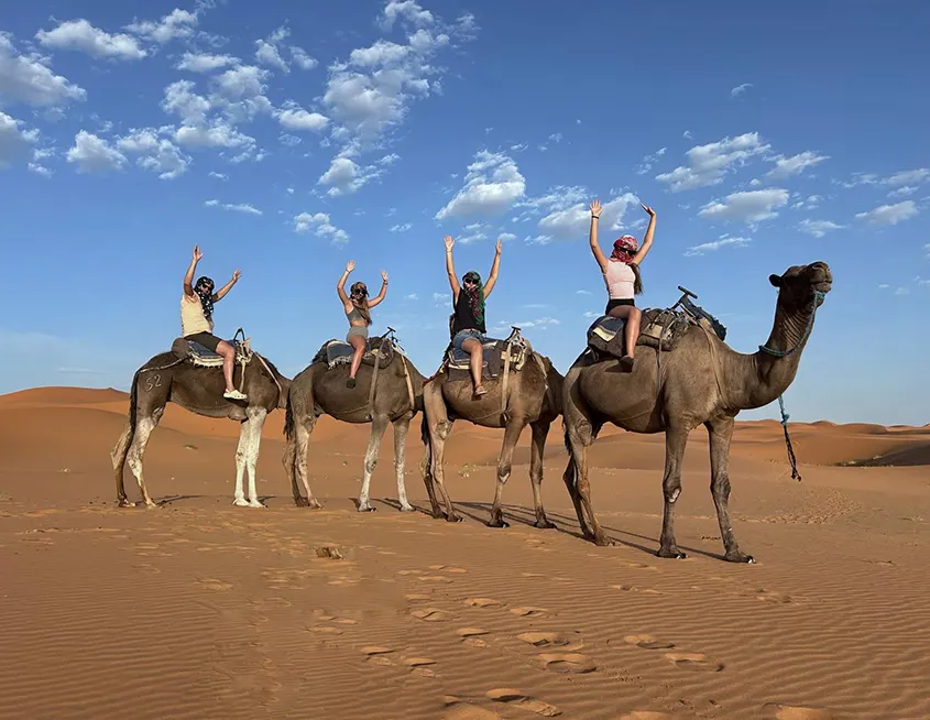 camellos desierto 1001 Tours Morocco