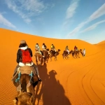 Foto de viajes en Marruecos con 1001 Tours Morocco Camellos