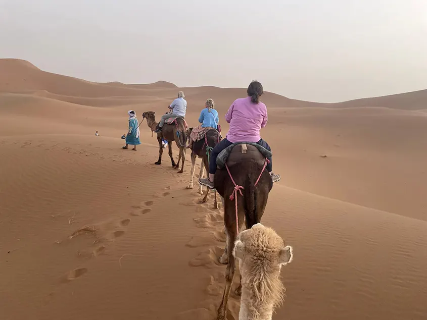 Imagen de clientes de 1001 Tours Morocco con camellos y dunas