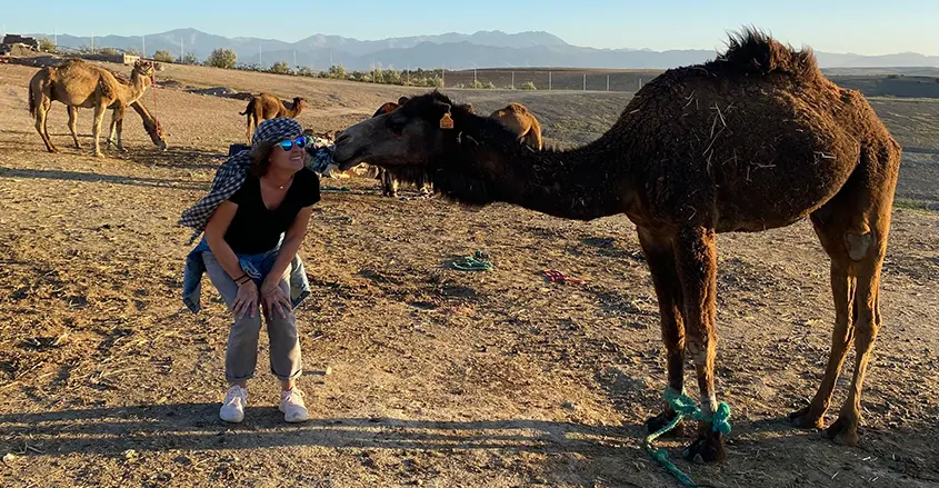 Viajera de 1001 Tours Morocco con un camello.