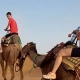 Opiniones viajes a Marruecois con 1001 Tours Morocco Clientes en camello en las dunas